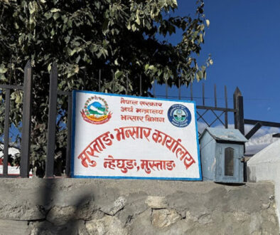 mustang-bhansar